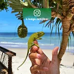 Z-Lodge Zanzibar