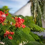 Zaria Garden Bungalows