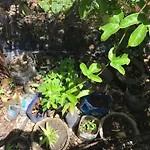 Eco-Farm