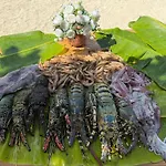 Tiki Beach Club & Resort (Adults Only)