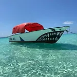 Waka Waka