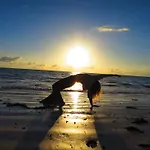 Yoga&Gym Zanzibar Guesthouse