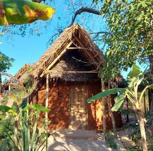 Baobab Safari Lodge