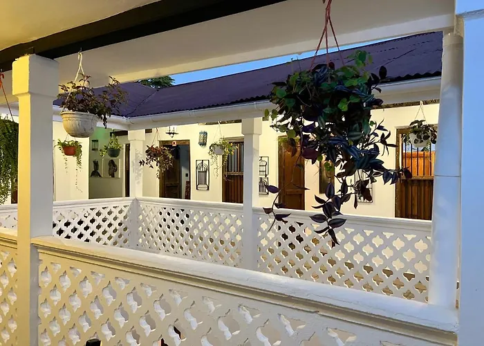 Zanzi House