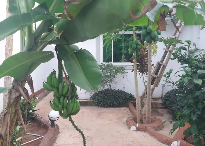 Eco Lodge