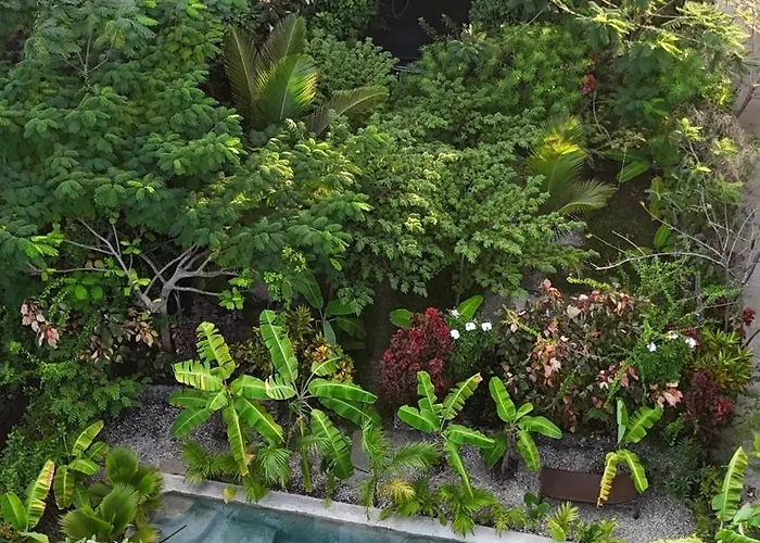 Tropicana Boutique Hotel