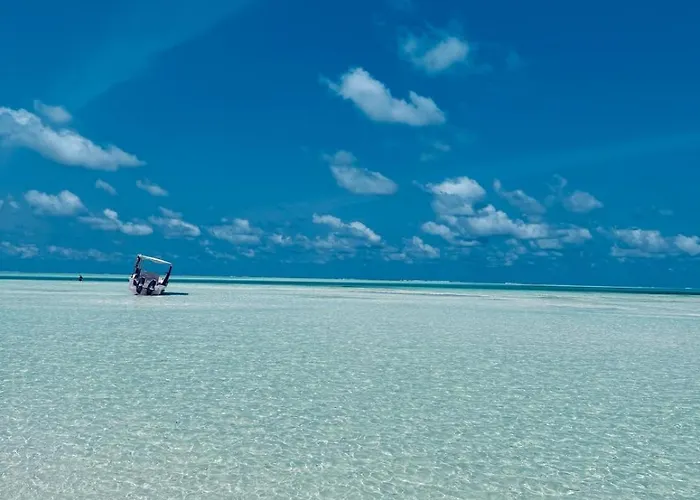 Boheme Zanzibar