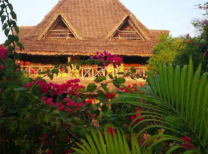 The Coco Paradise