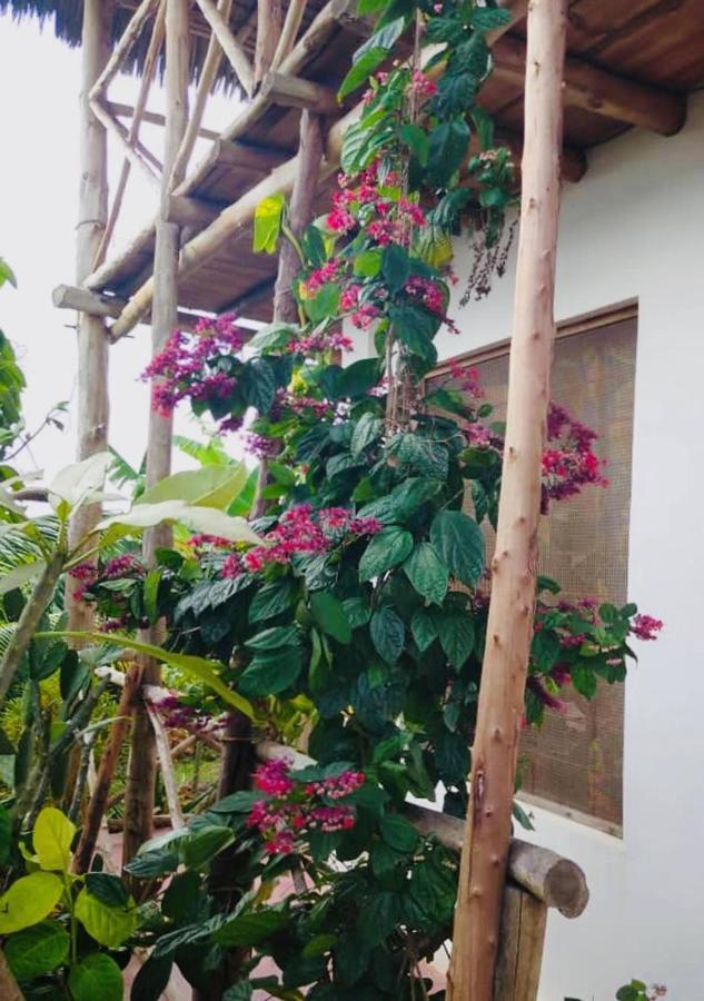 Bed & Breakfast Kilimani House *