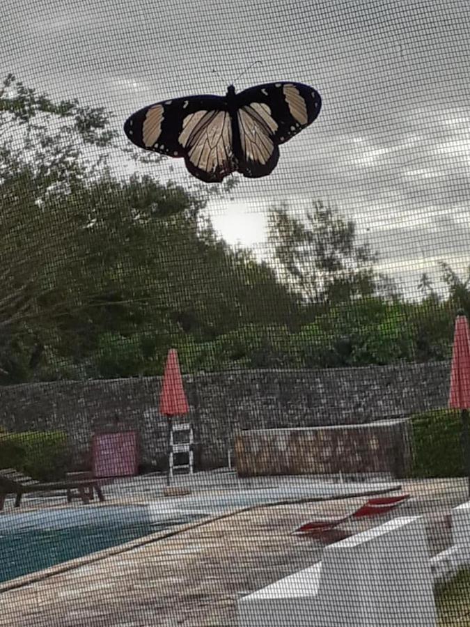 Hotel Moment In Time Marumbi