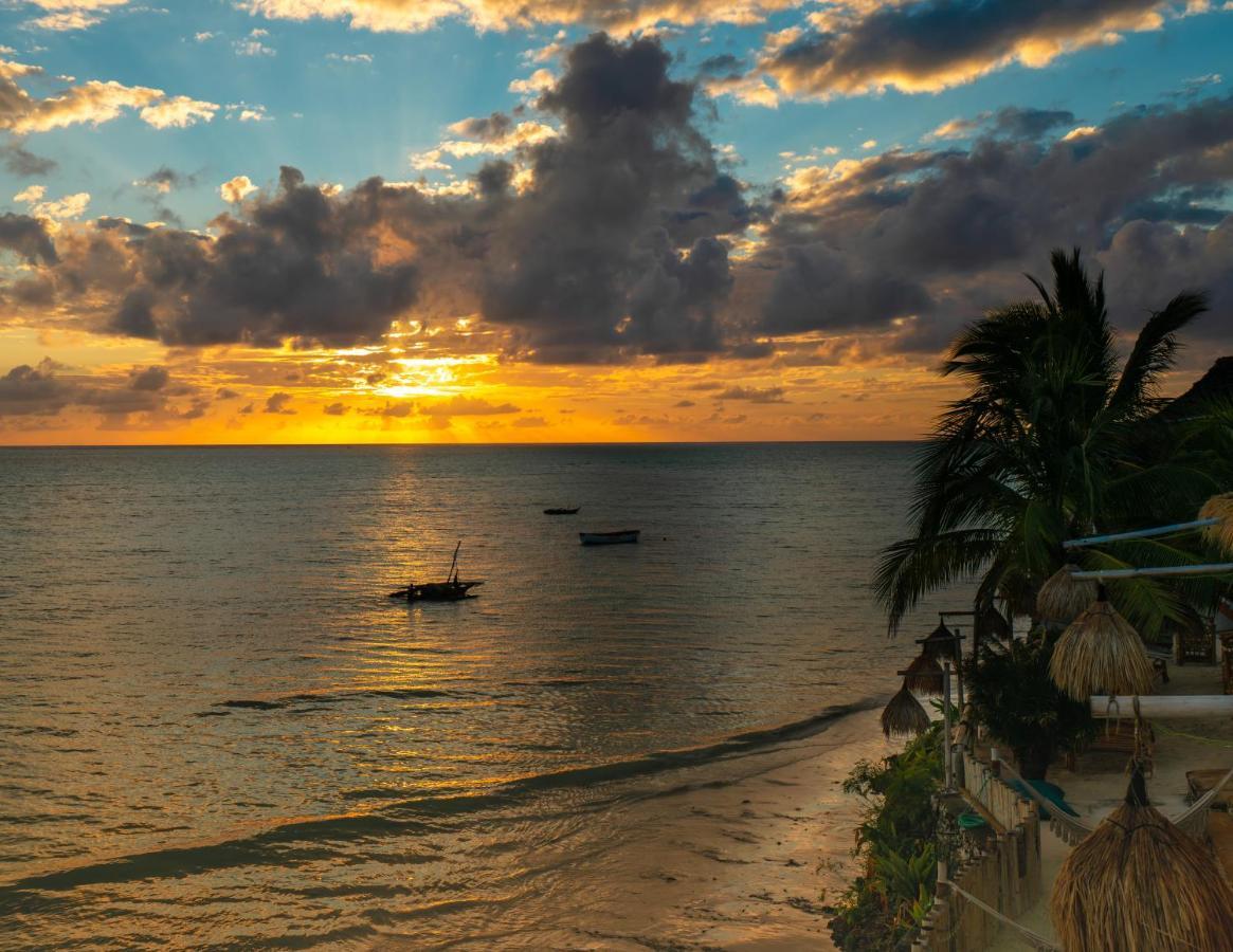 Hotel Coral Rocks & Restaurant 3*