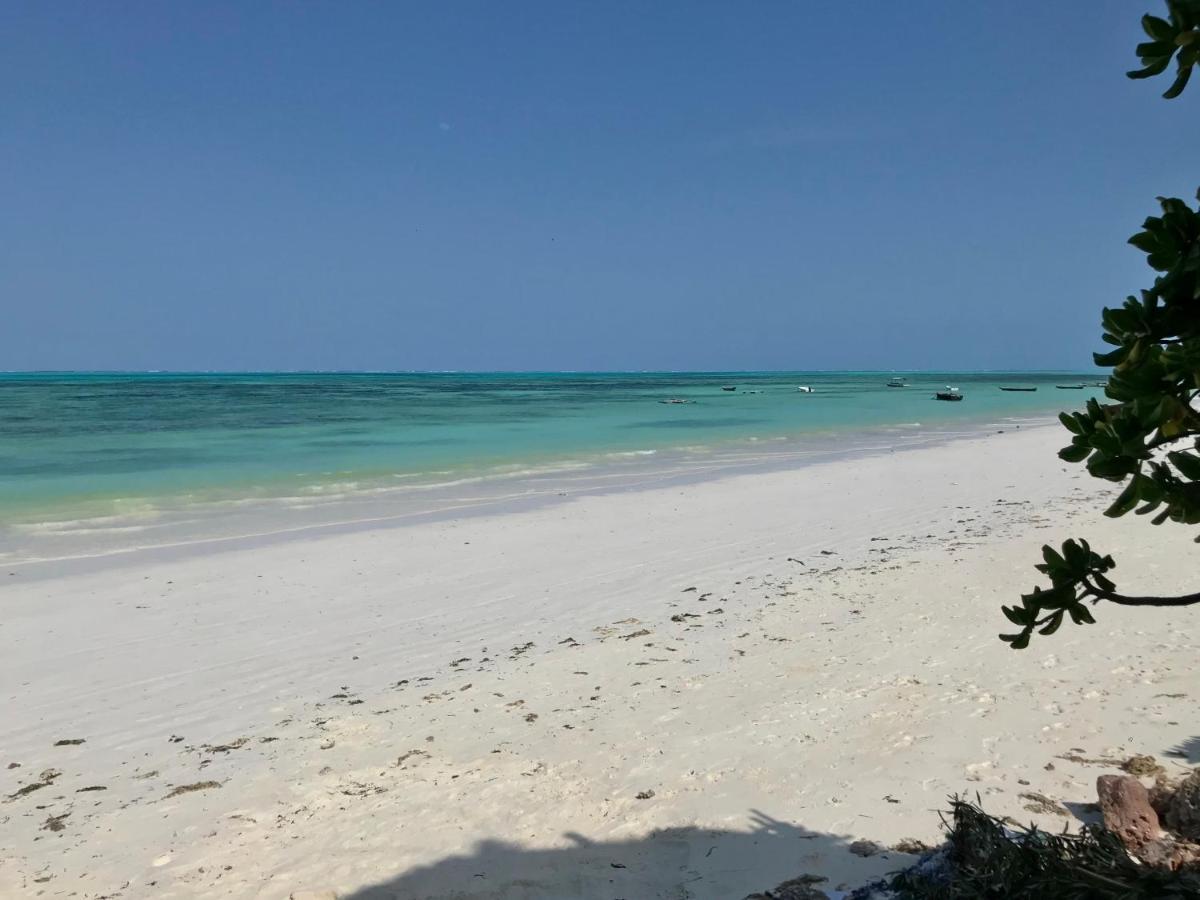 Kabongo Zanzibar *