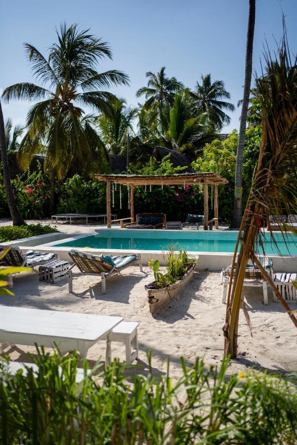 New Teddy's On The Jambiani (Zanzibar)