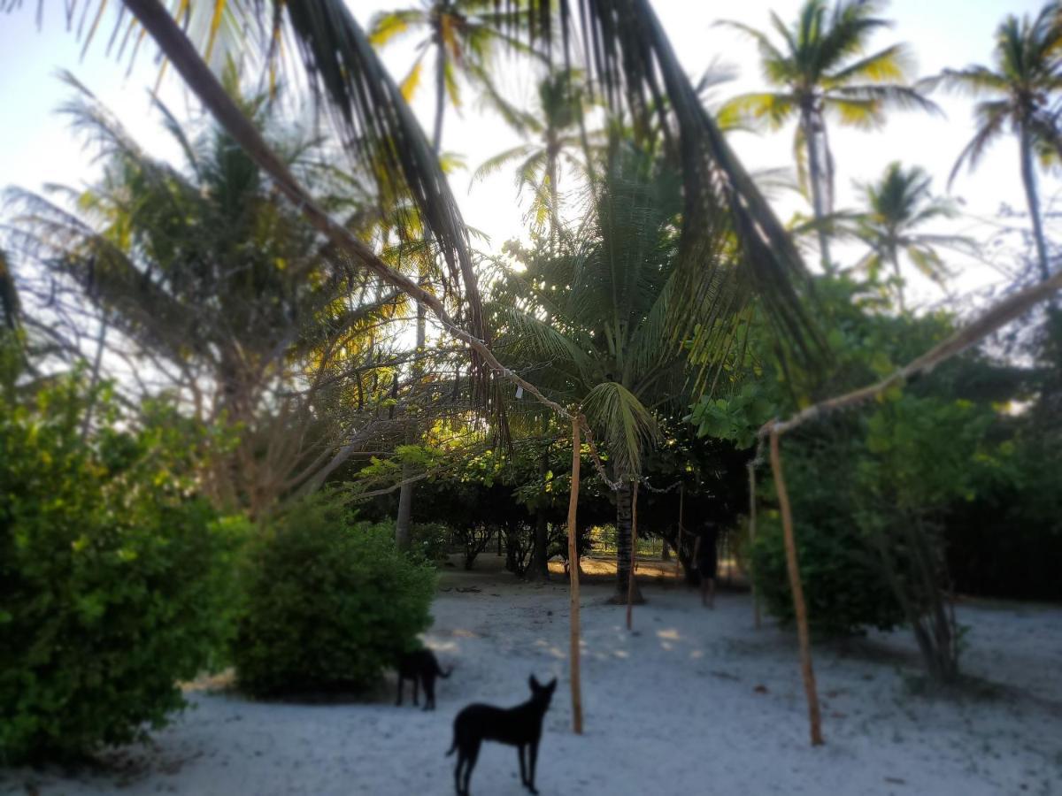 Kilimani Kwetu Beach Lodge *