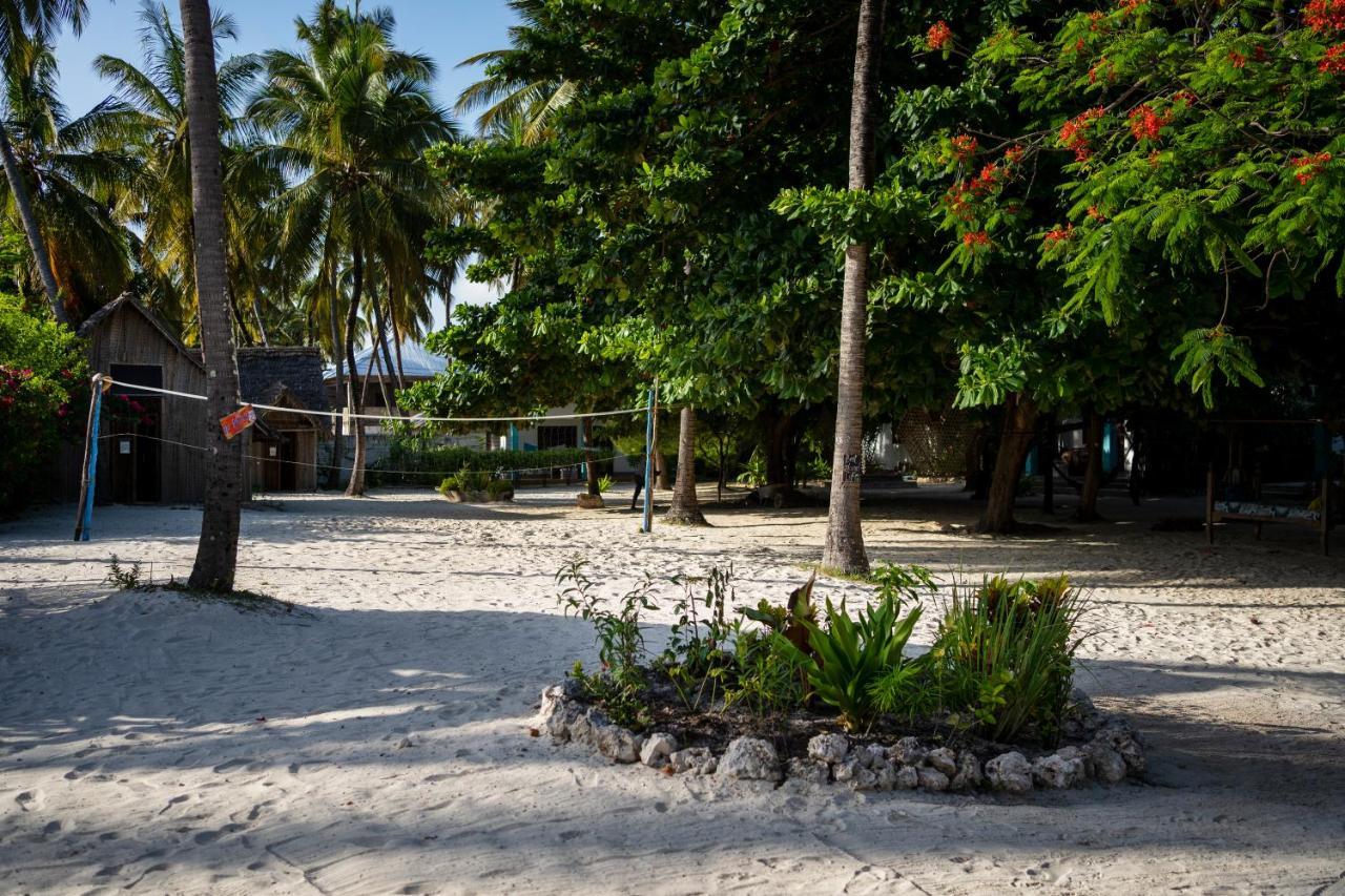 New Teddy's On The Hostel Jambiani (Zanzibar)