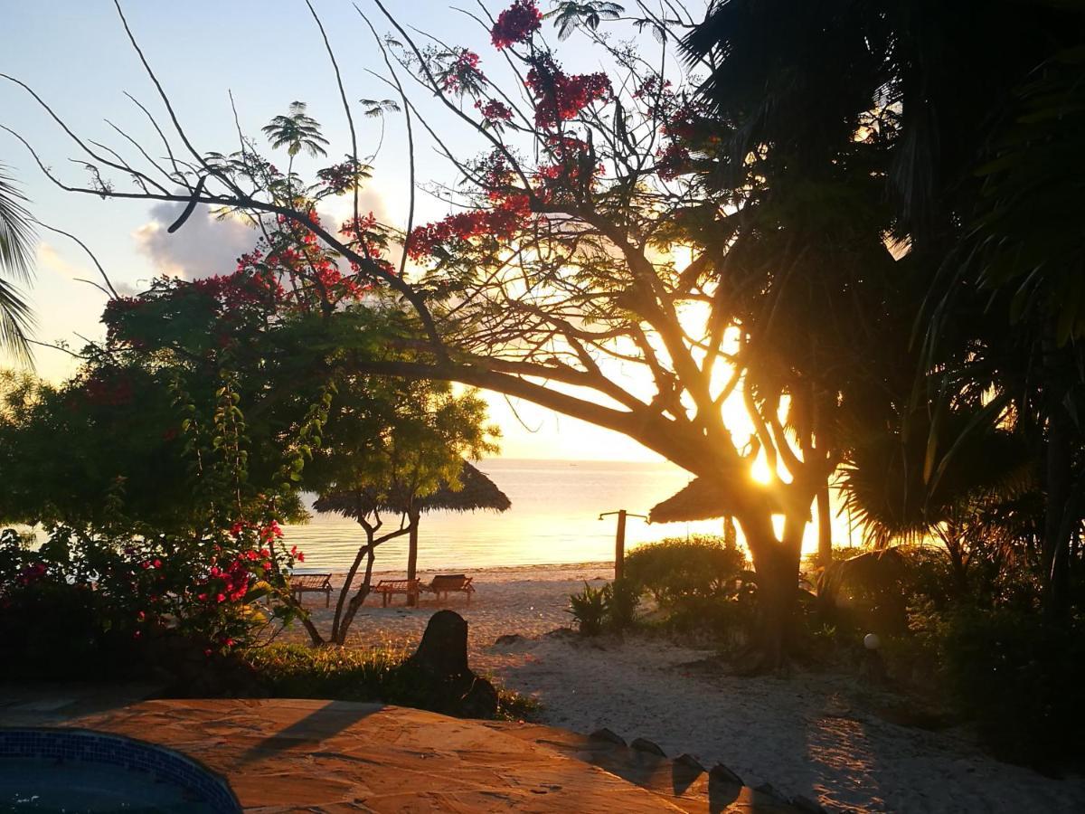 Resort De Coco 3*