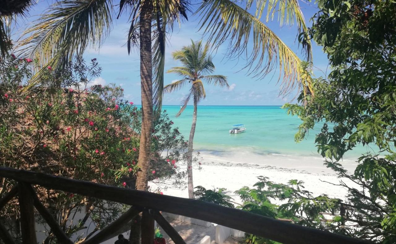 Red Monkey Jambiani (Zanzibar)
