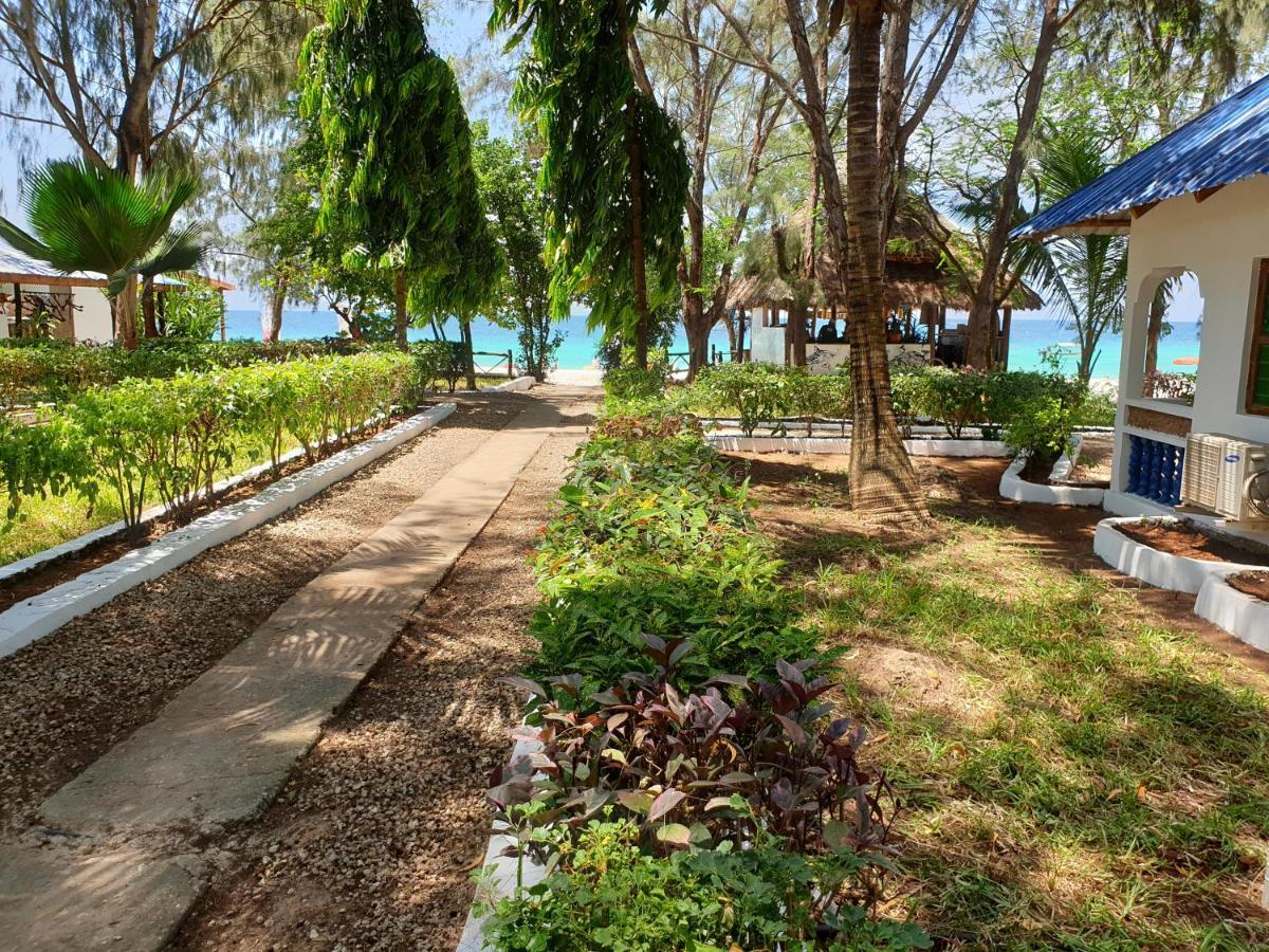 Nungwi Inn Beach Cottages Gasthof Nungwi