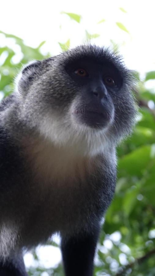 Baobab Safari Beach Bed & Breakfast *
