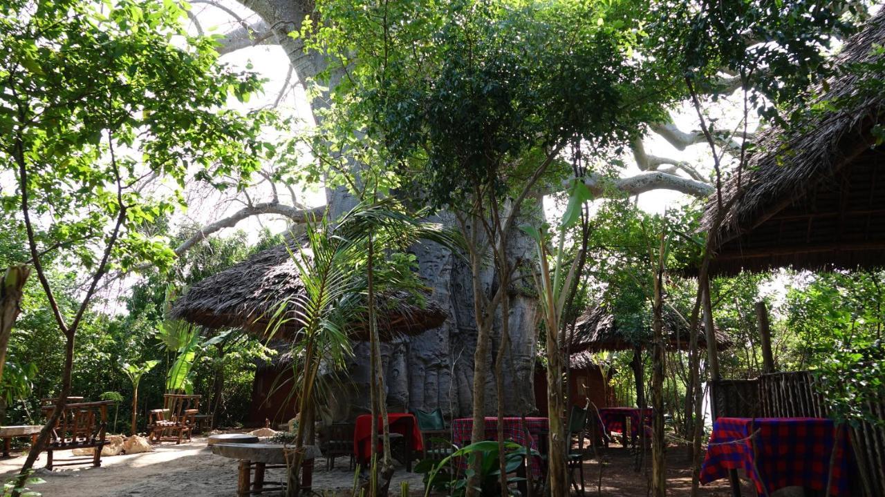 Baobab Safari Beach Bed & Breakfast *