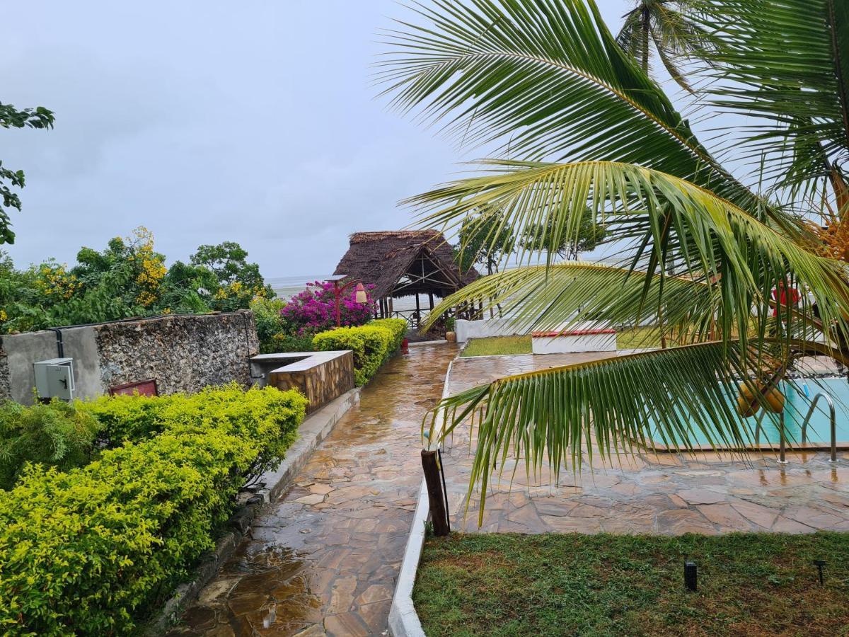 Ivory Ocean View *