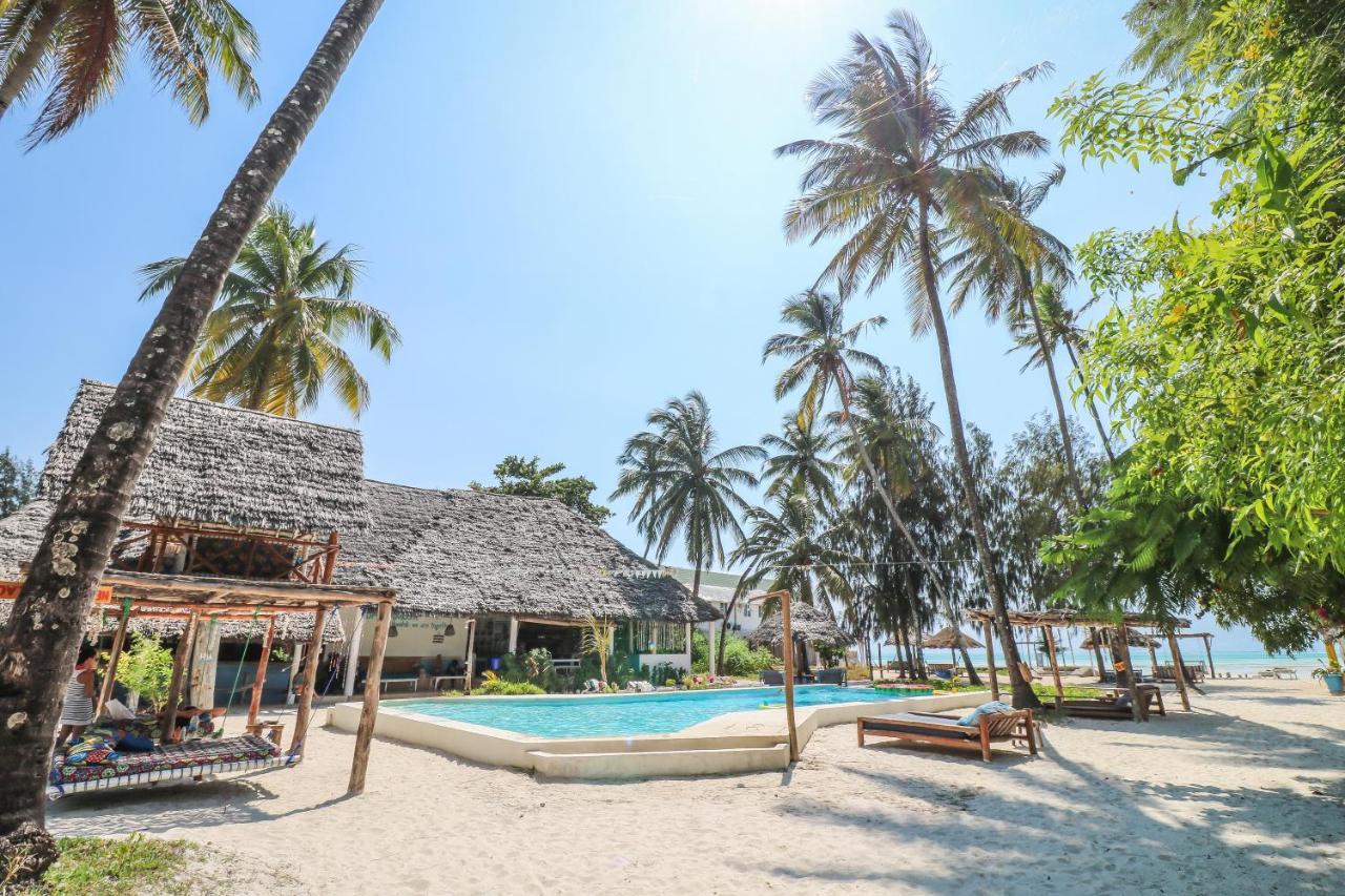 New Teddy's On The * Jambiani (Zanzibar)