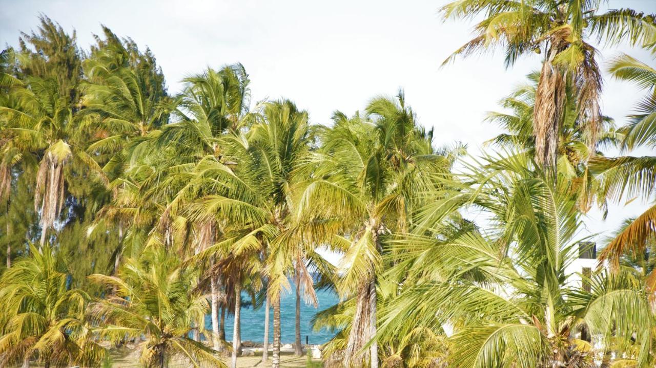 Hotel Blu Boutique 4*