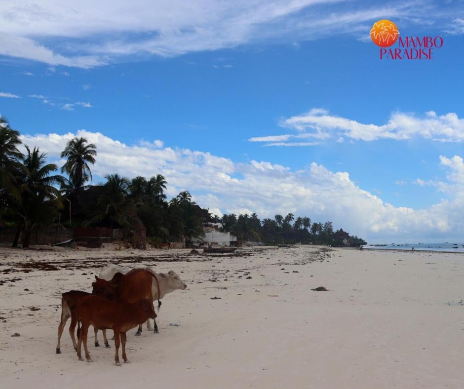Mambo Paradise Hotel Matemwe (Zanzibar)