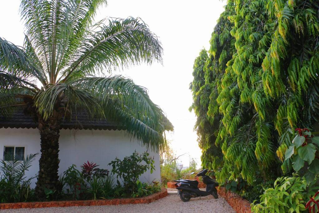 Sky-top With Beach-view - Mimosa Villas Villa Kendwa