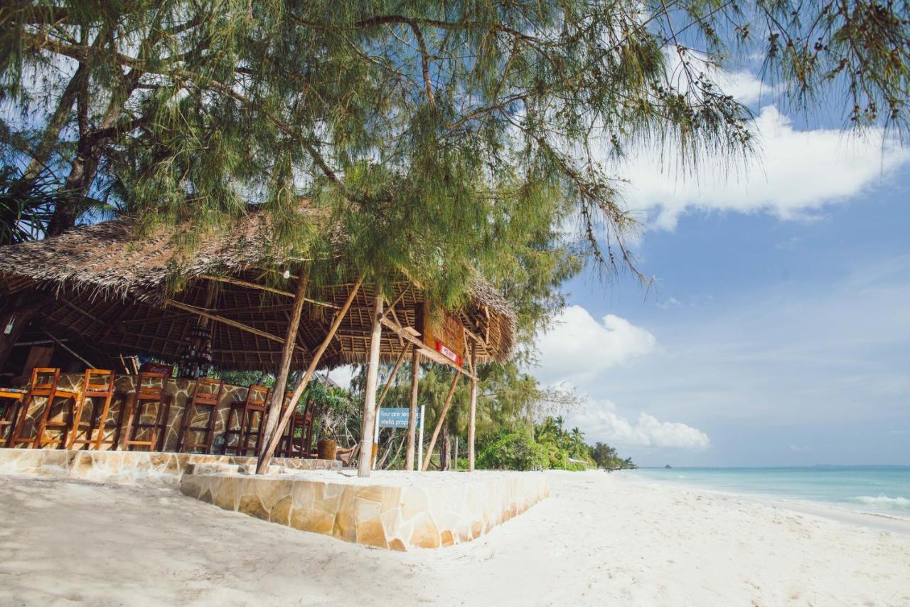 Cast Away * Kiwengwa (Zanzibar)