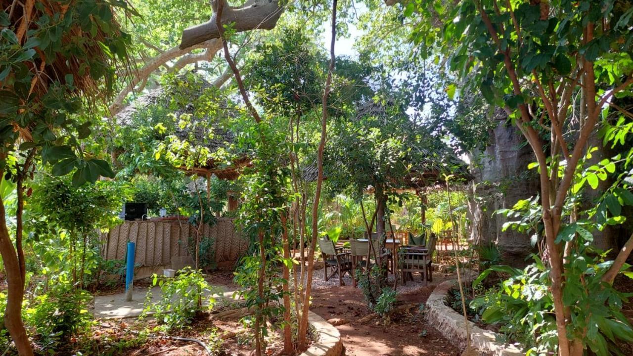 Bed & Breakfast Baobab Safari Beach *