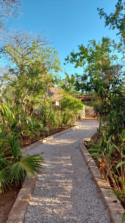 Bed & Breakfast Baobab Safari Beach *