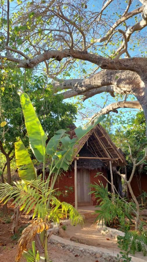 Bed & Breakfast Baobab Safari Beach
