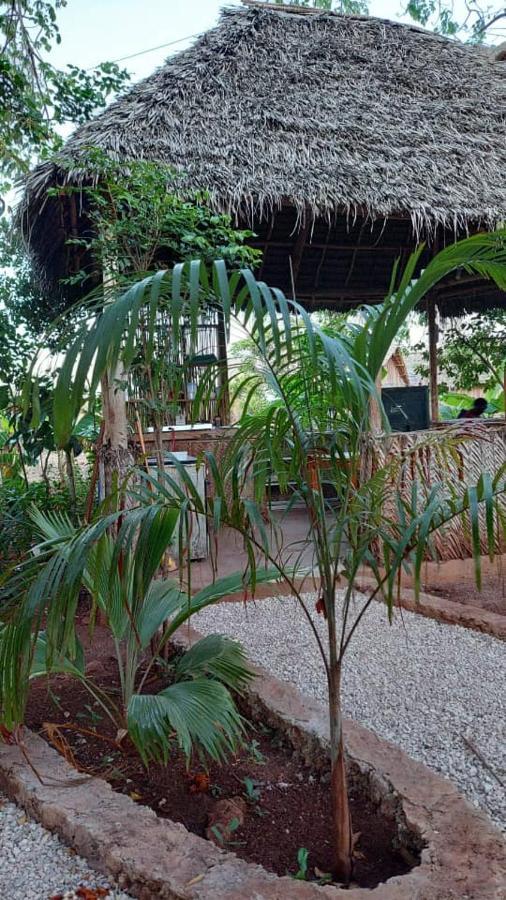 Baobab Safari Beach Bed & Breakfast