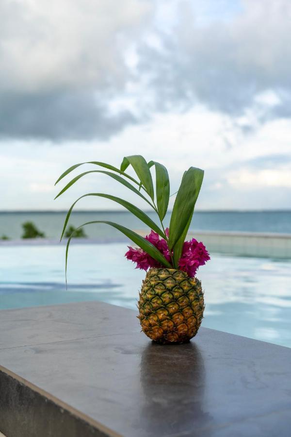 Zanzibar Dt Beachfront Mkunguni