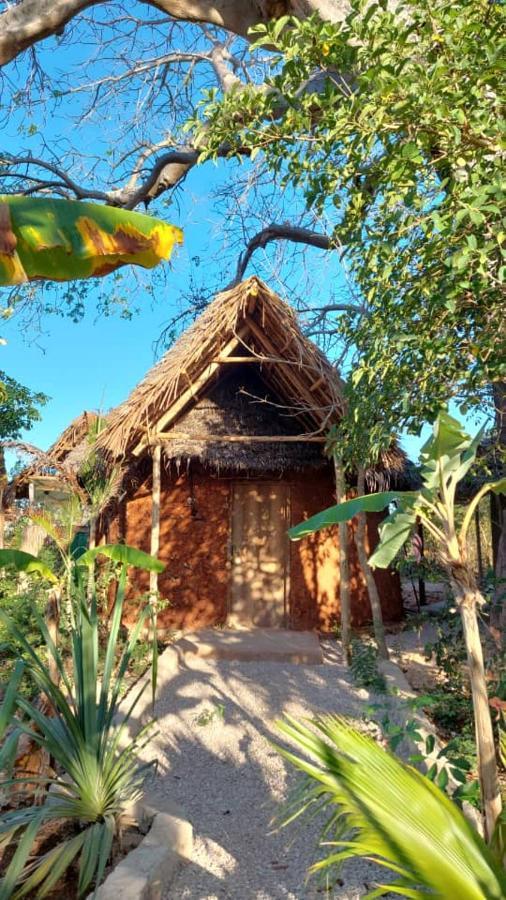 Bed & Breakfast Baobab Safari Beach Mtende