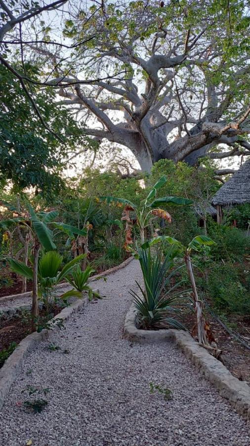 Baobab Safari Beach Mtende