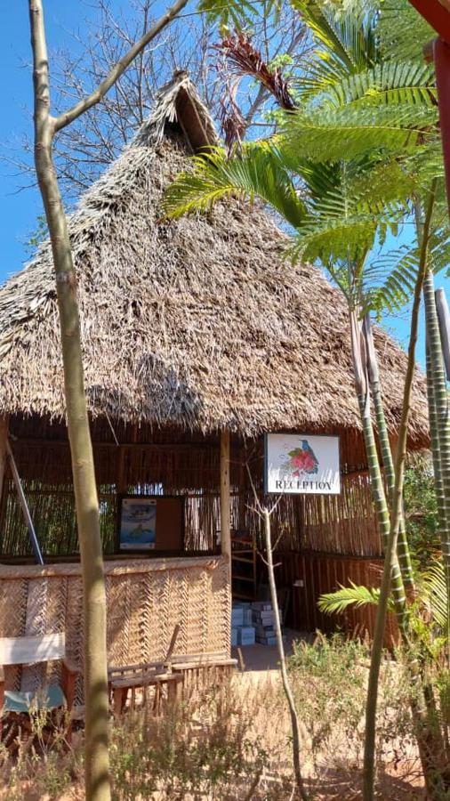 Baobab Safari Beach Bed & Breakfast *