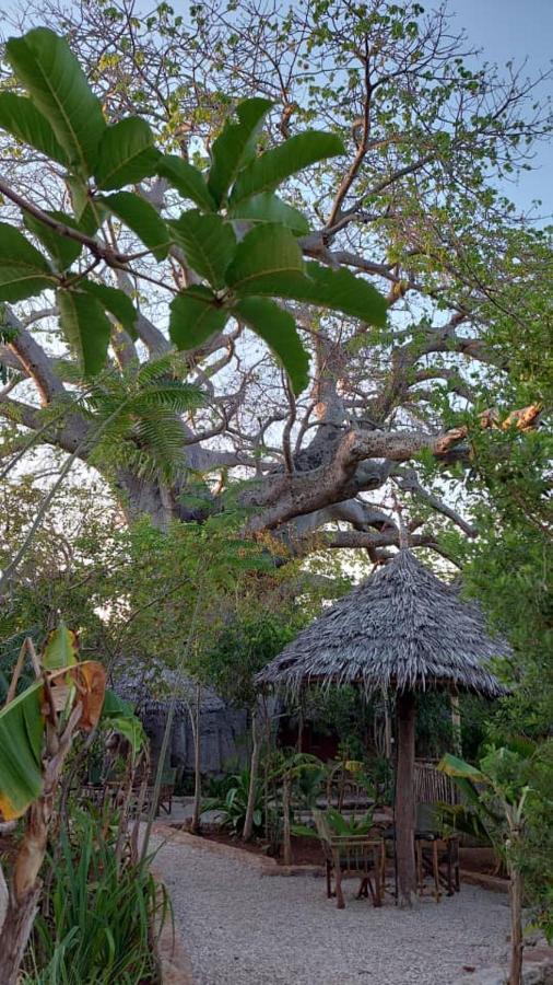 Baobab Safari Beach