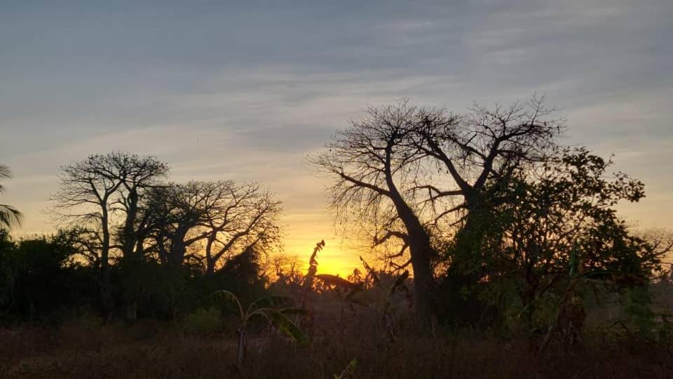 Baobab Safari Beach *