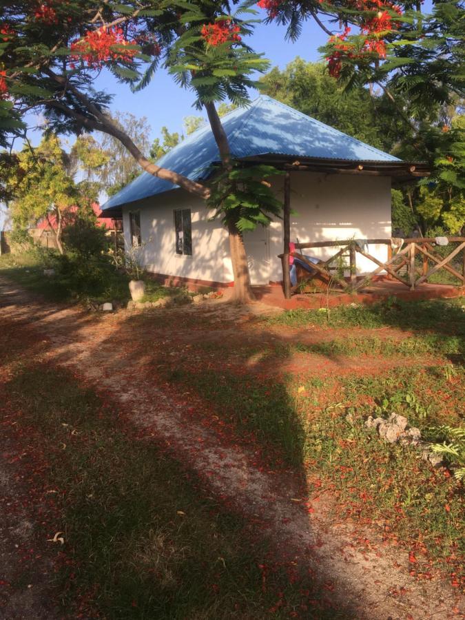 Homestay Tayana Place *