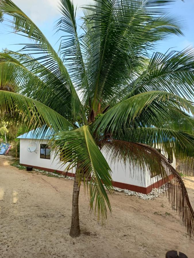 Homestay Tayana Place Kizimkazi