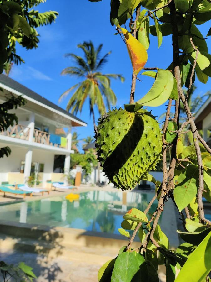 Hotel Frangi'pwani Paje