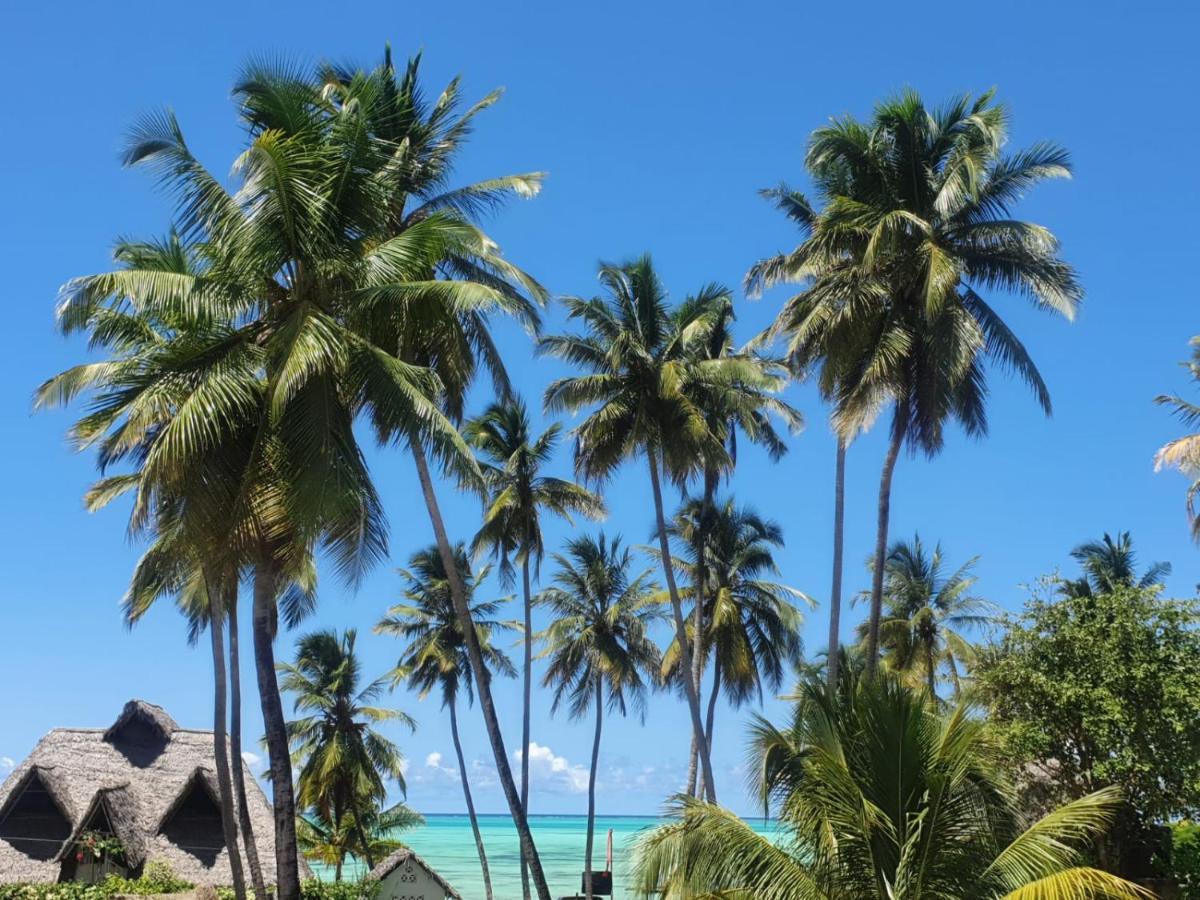 Moyo House Jambiani (Zanzibar)