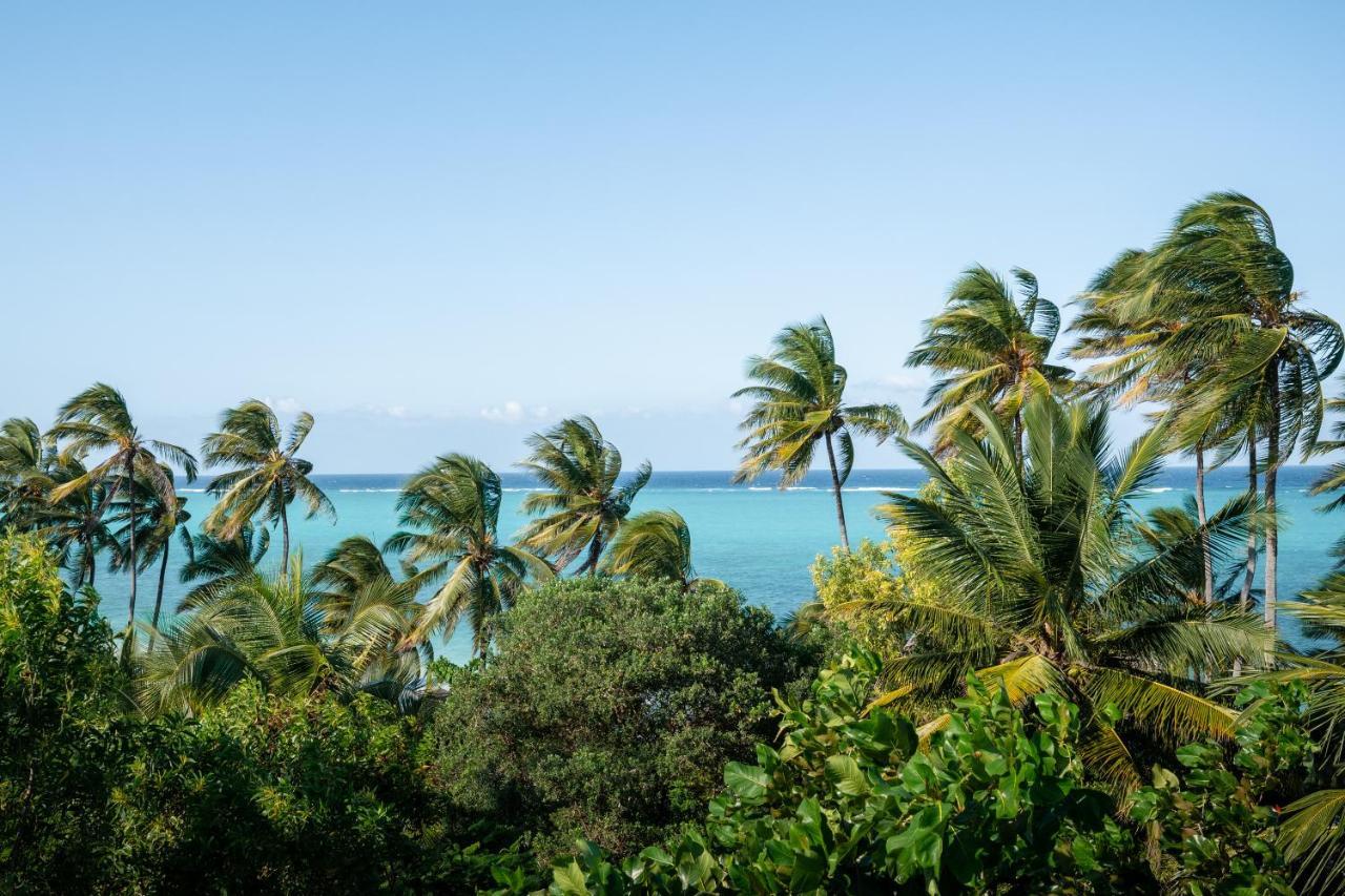 Xanadu Luxury & Retreat Zanzibar Bwejuu