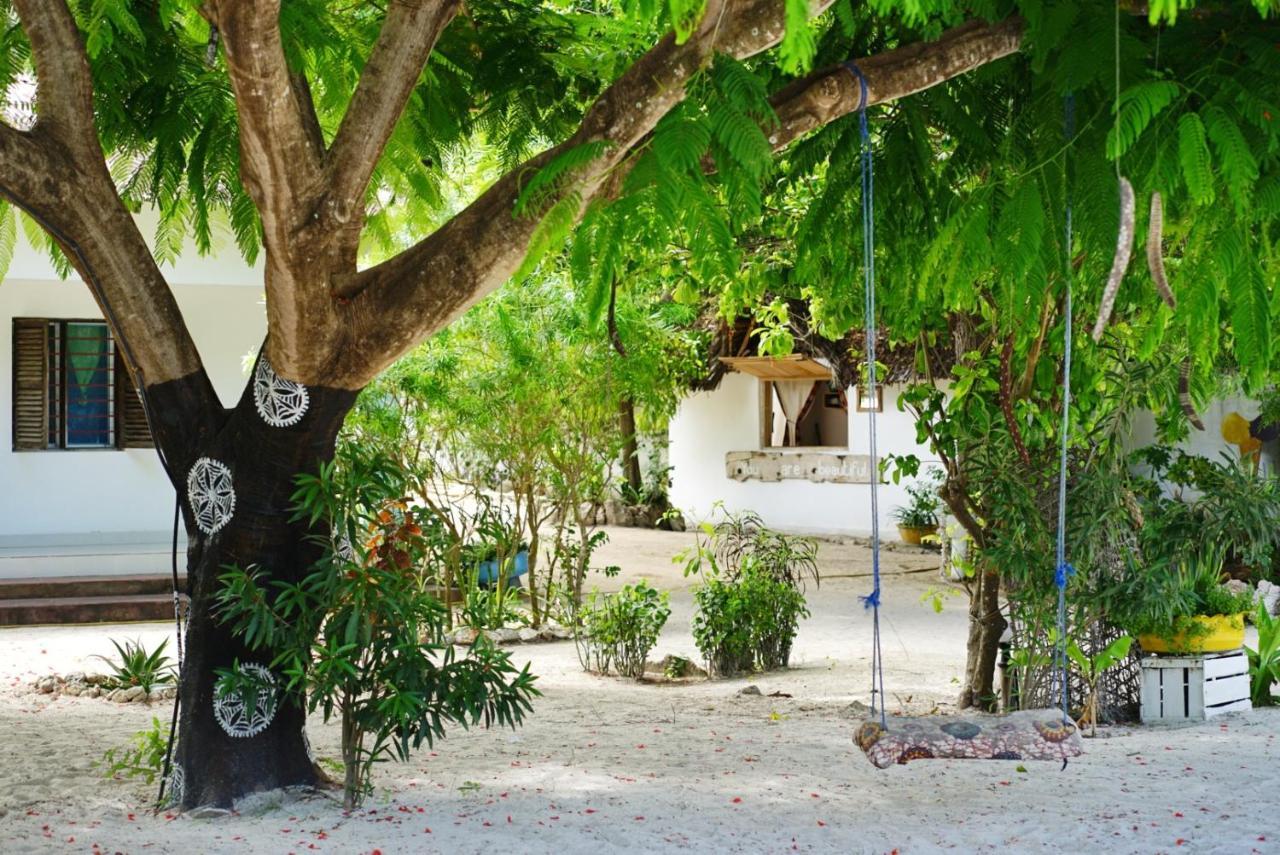 New Teddy's On The Jambiani (Zanzibar)