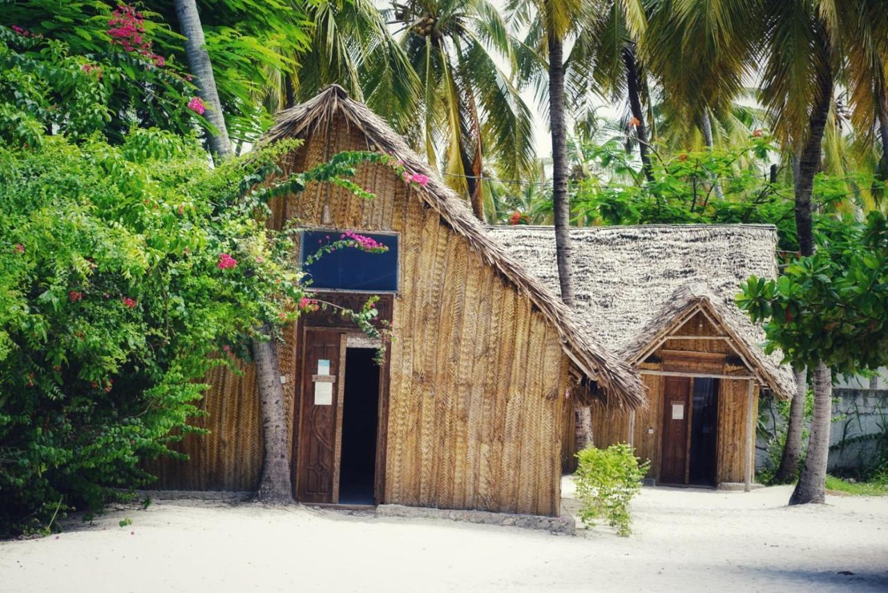 Hostel New Teddy's On The Jambiani (Zanzibar)