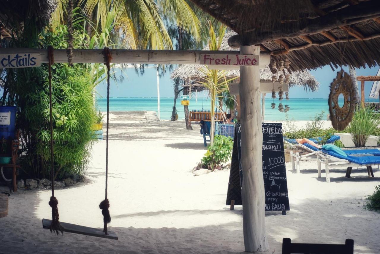 New Teddy's On The Jambiani (Zanzibar)