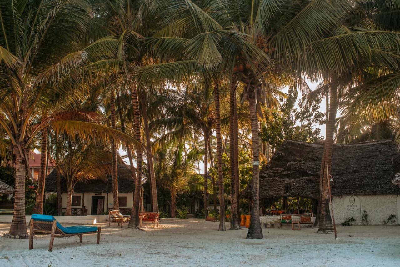 Zanzibar Gem