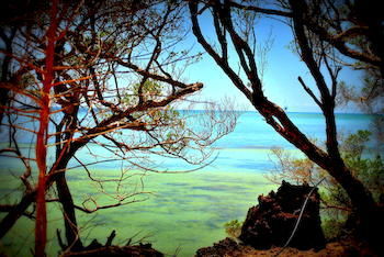 Zanzibar Rock 3* Pongwe
